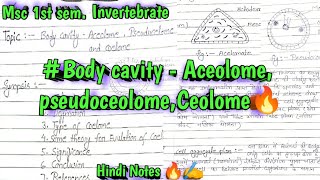 body cavity Aceolome pseudoceolome Ceolome 🔥🔥✍️invertebrateHindi Notes 🔥🔥📝📝✨✨✨✨✍️✍️✍️ [upl. by Carmelita]