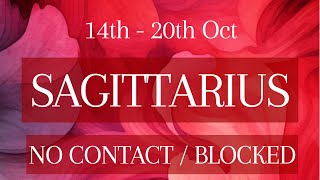 SAGITTARIUS ♐️  धनु  WEEKLY NO CONTACT  BLOCKED 🚫  this person is a rebel sagittarius [upl. by Sukramaj880]