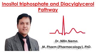 Inositol triphosphate and Diacylglycerol Pathway by Dr Nitin Nema [upl. by Viguerie777]