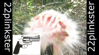 500 SMITH AND WESSON VS WATERMELON IN SLOW MOTION [upl. by Bourke]