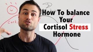 How To balance Your Cortisol Stress Hormone For Sleep [upl. by Domel]