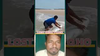 Samundar machli live everythingcarpfishing bigfish carps indian carpfishingbaits bigcarp [upl. by Rillings]