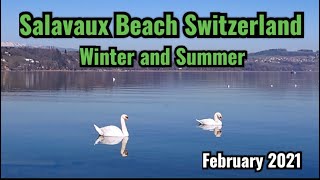 Salavaux Beach Switzerland 🇨🇭 🏖️🌊 Winter and Summer how it looks beach Salavaux strand [upl. by Talanta]