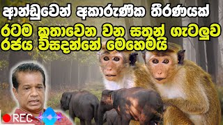 ආන්ඩුවෙන් අකාරුණික තීරණයක  Watch Hiru News live Sirasa TV and Lanka News [upl. by Burton]