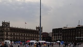 MARCHA MAREA ROSA SIN BANDERA EN EL ZOCALO PODRAN UTILIZAR SOLO ESTOS LUGARES [upl. by Nosa]