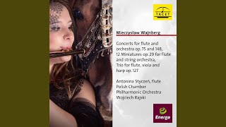 Flute Concerto No 2 Op 148 III Allegretto  Andante molto ritenuto [upl. by Kolva]