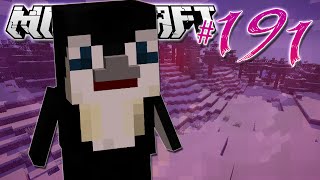 Minecraft  CUTE PENGUIN PET  Diamond Dimensions Modded Survival 191 [upl. by Levram255]