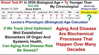 Blood Test 1 in 2024 Whats My Biological Age [upl. by Nnewg502]