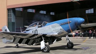 North American P51D  Kermit Gives Mustang Rides [upl. by Katine]