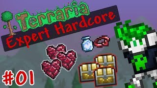 1 Life Terraria  Expert Hardcore 1 Pilot [upl. by Gilder343]