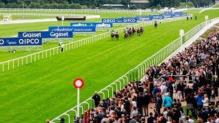 quotIt Feels Very Exclusivequot  The King Edward VII Enclosure at Ascot Racecourse [upl. by Kciregor]