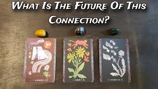 💒 💕 What Is The Future Of This Connection 💒💕🌟 Pick A Card Love Reading [upl. by Cogan]