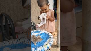 Cute baby care kitty shortviraltrending [upl. by Hayotal]