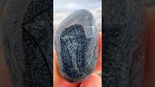 Wasn’t sure if it was an agate at first agates agate agatehunting rockhounding rockhound [upl. by Nehgam]