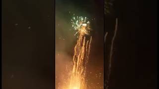 Coronation 120shot 🎇fireworks coronation diwalicelebration viralshort trendingshorts diwali [upl. by Meng693]