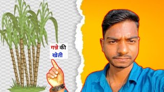 My First Vlog गन्ने की खेती 🥰🎋 My Mini vlog ।।गन्ने की फसल 🎋।। [upl. by Nona]