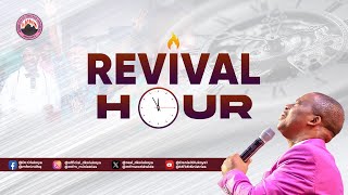 IGBO MFM REVIVAL HOUR  11112024 MINISTERING DR DK OLUKOYA [upl. by Seyler]