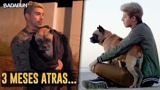 24 horas con un perro que nadie quiso adoptar [upl. by Anelrihs]