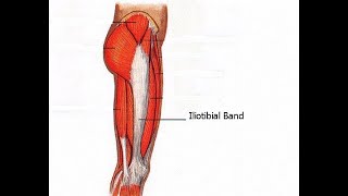 Two Minutes of Anatomy Iliotibial Band IT Band ITB [upl. by Curnin]