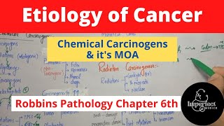 ETIOLOGY OF CANCERChemical CarcinogensMechanisms of Action of Chemical Carcinogens [upl. by Llerahc]