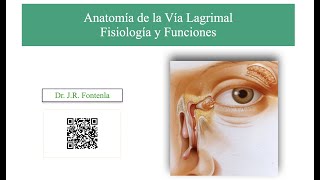 Anatomía de la Vía Lagrimal Fisiología y Funciones [upl. by Haland]