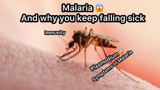 Malaria  Why you keep falling sick 🤒 immunity malaria malariaawareness [upl. by Yam]