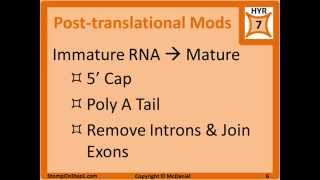 DNA Replication Transcription Translation DNA Polymerase III Topoisomerase RNA Polymerase [upl. by Moon]