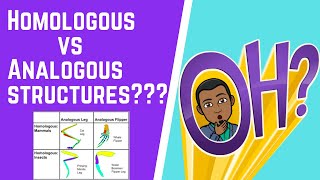 Homologous vs Analogous Structures 101 [upl. by Fabrianne]