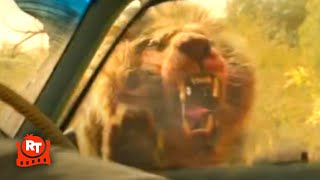 Beast 2022  Lion Attack Scene  Movieclips [upl. by Kus]