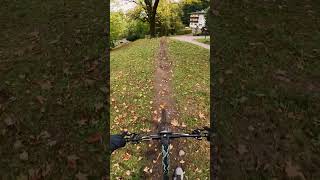 BONUS TRAK AT BIKE PARK LIENZ🚀💪 mtb downhill gopro lienz bikepark [upl. by Atires]