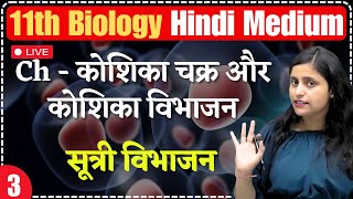 11th Biology  Ch10  L3  कोशिका चक्र और कोशिका विभाजन  सूत्री विभाजन  By Renu Maam [upl. by Glaser]