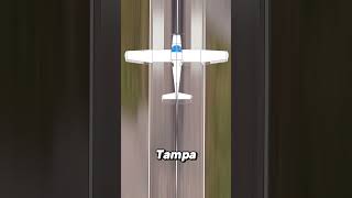 The Shocking Story of the Tampa Plane Crash Copycat [upl. by Ateuqirne]