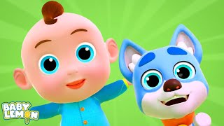 Bingo My Dog Animals Song and Nursery Rhymes for Kids [upl. by Yenaled]