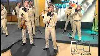 NI POR MIL PUÑADOS DE ORO RICARDO TORRES Y SU MARIACHI [upl. by Adnoved]