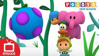 🍇 POCOYO DEUTSCH  Waldbumblebeerenüberraschung S04E12  CARTOONS und SERIEN für KINDER [upl. by Norak]