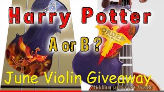 Harry Potter Custom Violin  June Giveaway  FiddlingWhistle [upl. by Heloise347]