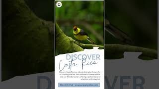 Costa Rica Jaco Exploring Natures Wonders with Jaco Party Villas [upl. by Korie]