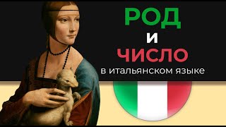 Итальянский с нуля Lezione 8 Род и число А1 С искусством [upl. by Cherian]