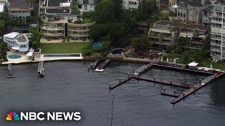 Female swimmer seriously injured in Sydney Harbor shark attack [upl. by Cacilie]