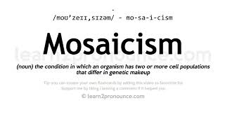 Pronunciation of Mosaicism  Definition of Mosaicism [upl. by Juieta]