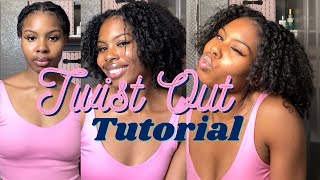 YOUR GUIDE TO A DEFINED TWIST OUT [upl. by Greenwald]