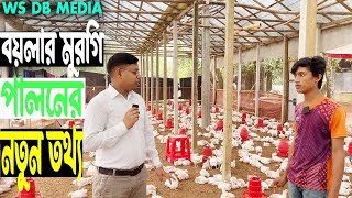 বয়লার মুরগির নতুন তথ্য New information on Boiler Chicken Saydulislam240 WS DB MEDIA ​⁠ [upl. by Enened]