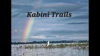 Kabini Trails  Taking the slushy back roads to Kabini Backwaters [upl. by Gaut325]