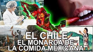 El Chile  El monarca de la comida mexicana [upl. by Anilosi]