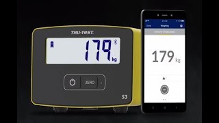 S3 Weigh Scale Indicator Features [upl. by Immij]