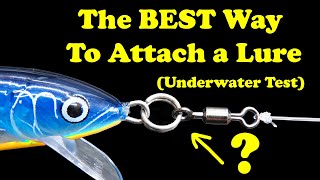 The best way to attach a fishing lure is split rings swivels loop knots tested underwater [upl. by Acirretahs]