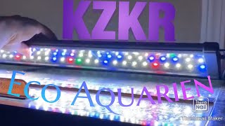 Aquarium lights KZKR Eco Aquarien [upl. by Raseta527]