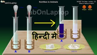 NCERT Class 7th  Activity 23  Effect of Saliva on Starch  labOnLaptop  Virtual Lab [upl. by Swehttam]