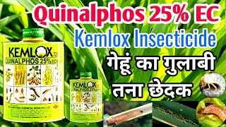 Quinalphos 25 EC  kemlox insecticide  गेहूं का गुलाबी तना छेदक Pesticide wheat insect control [upl. by Anoy]