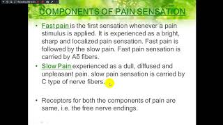 Mechanism of touch temperature amp pain [upl. by Kort]